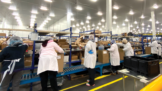 Employees in eGrocery facility fulfilling orders with put-to-light